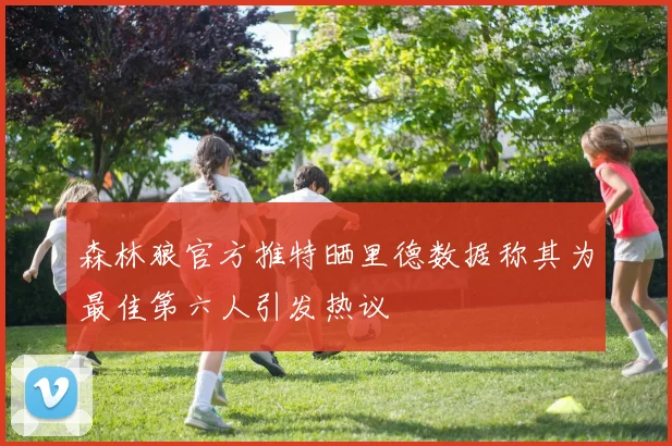 森林狼官方推特晒里德数据称其为最佳第六人引发热议