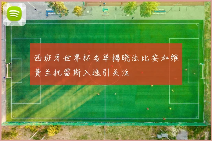 西班牙世界杯名单揭晓法比安加维费兰托雷斯入选引关注